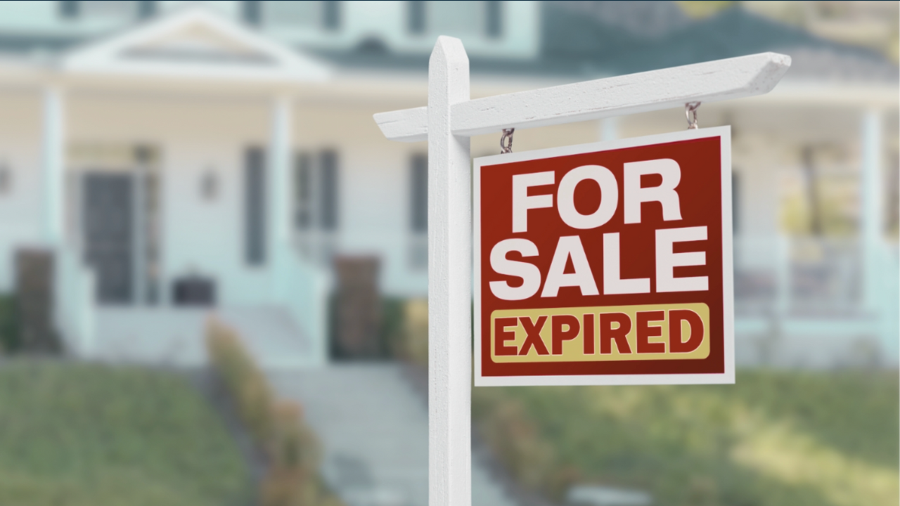 Expired Workshop (1)